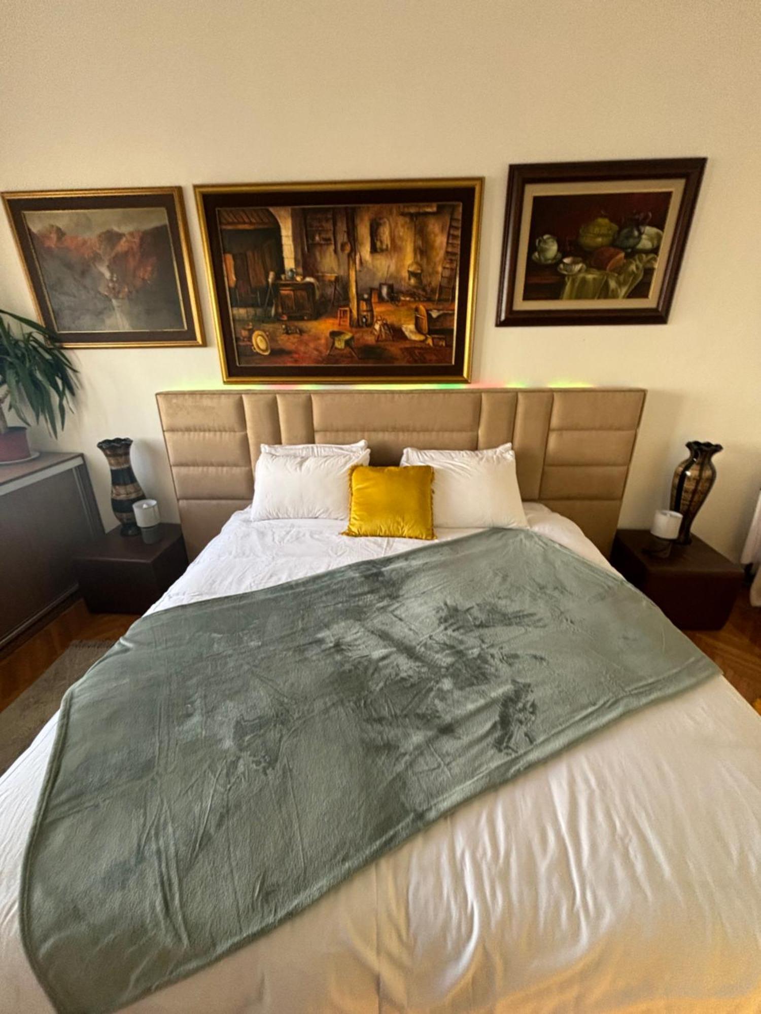Stylish King Downtown Apartment Podgorica Luaran gambar