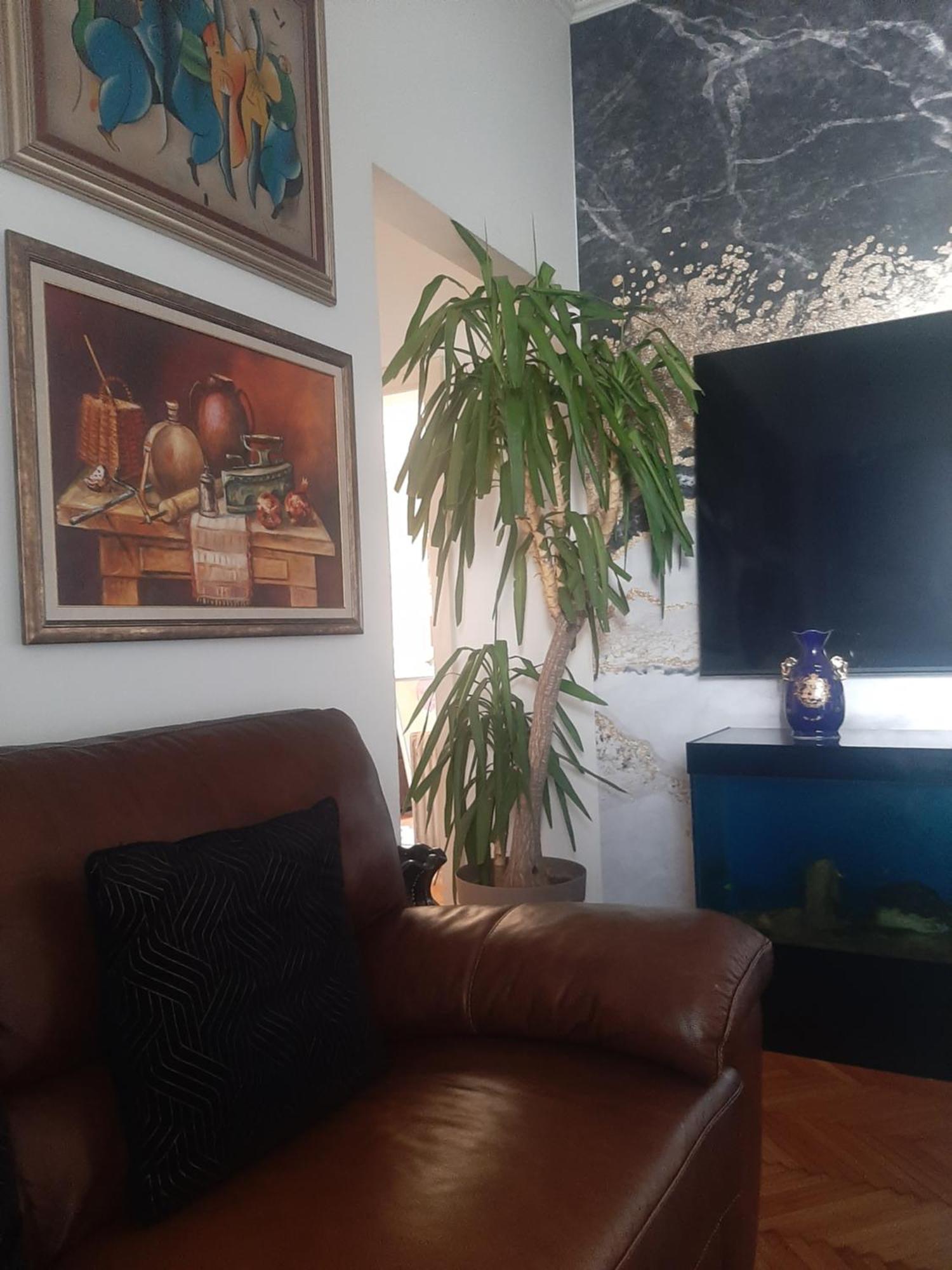 Stylish King Downtown Apartment Podgorica Luaran gambar